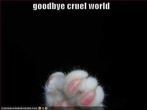 goodbye.jpg