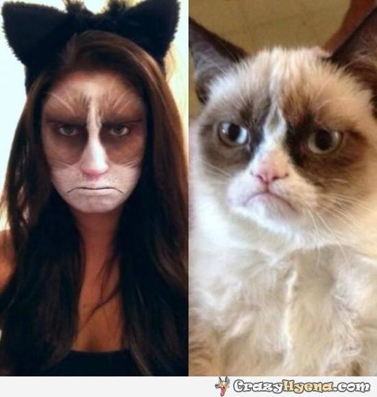 grumpy-cat-halloween-costume-make-up.jpg