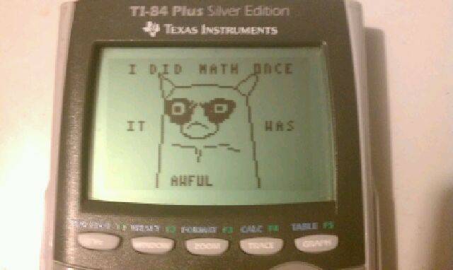grumpy-cat-i-did-math-once.jpe