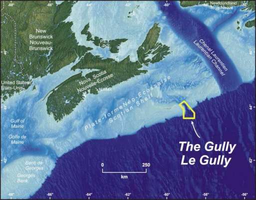 gully-img002.jpg