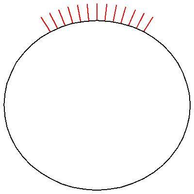 HairyCircle.jpg