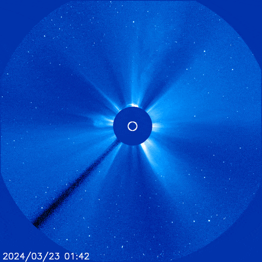 halocme_opt.gif