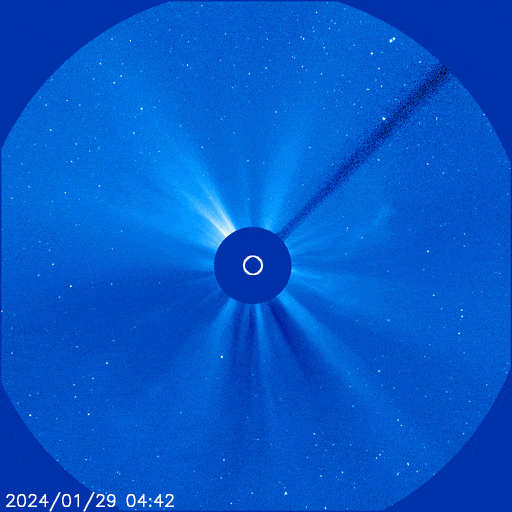 halocmeSOHO_opt.gif