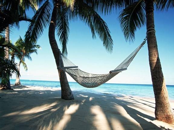 hammock.at.the.tiki.bar.jpg