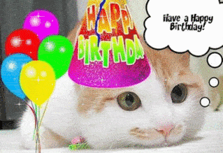 happy-birthday-cat-glitter.gif
