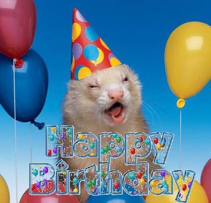 happy_bday_ferret.jpg