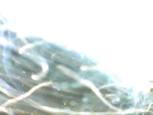 hatchStill03.jpg