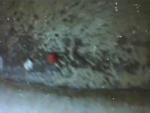 hatchStill11.jpg