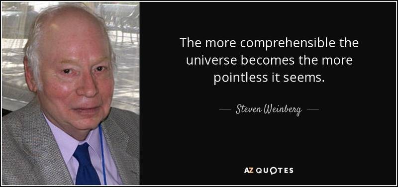 he-more-comprehensible-the-universe-becomes-the-more-pointless-it-seems-steven-weinberg-95-78-63.jpg
