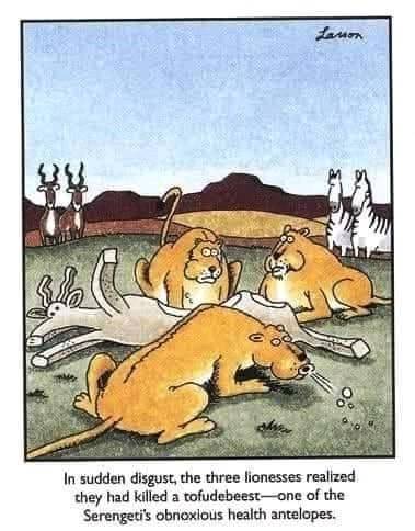 Health antelope.jpg