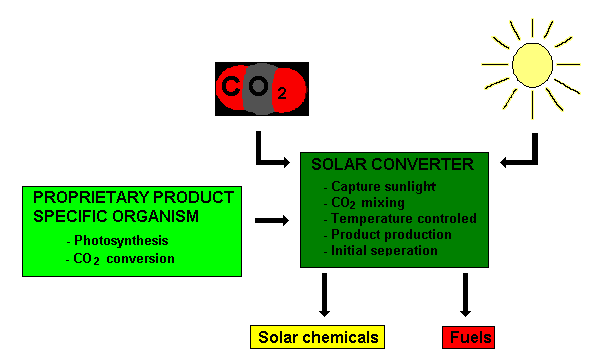 Helioculture_image.png