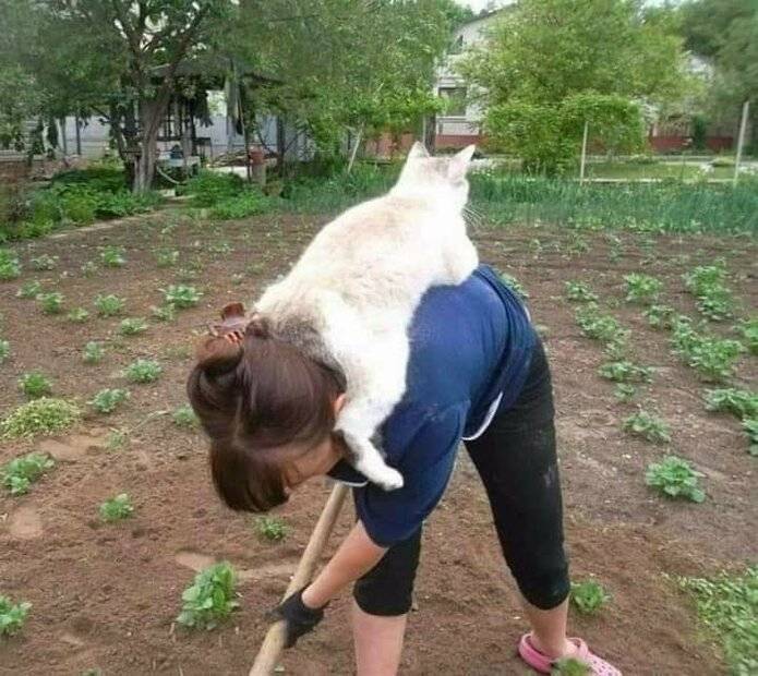 Helping Mom.jpg