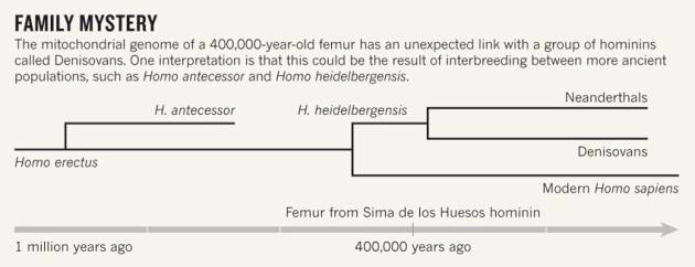 Hominin-graphic.jpg