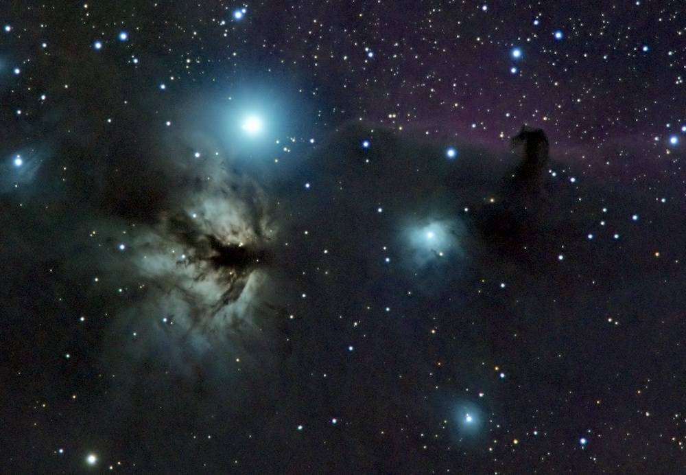 horsehead-10529s_filtered copy.jpg