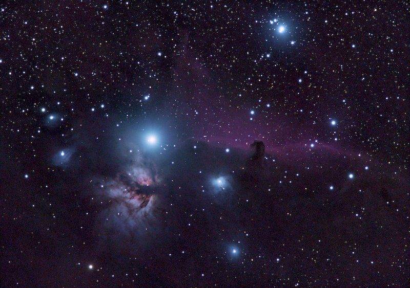 horsehead--17559s-1 copy 2.jpg
