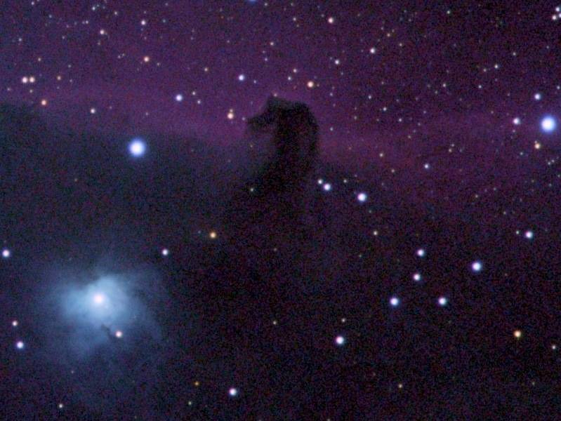 horsehead--17559s-1 copy.jpg