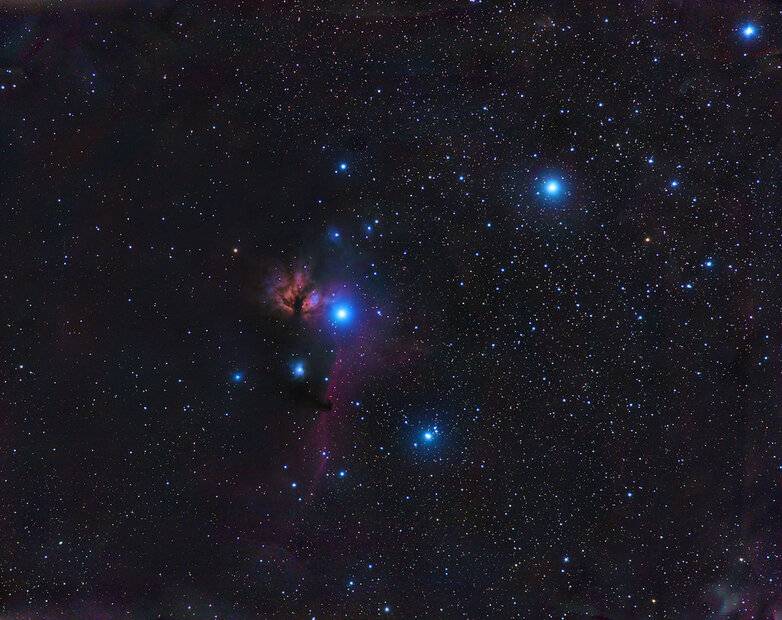 Horsehead_4_2_20percent-St-24623s.jpeg