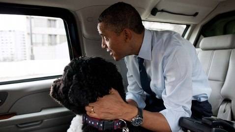 ht_president_barack_obama_dog_bo_ll_120130_wblog.jpg