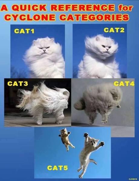 hurricane reference guide.jpg