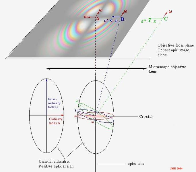 I_Indicatrix_uniaxial.jpg