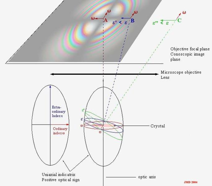 I_Indicatrix_uniaxial.jpg