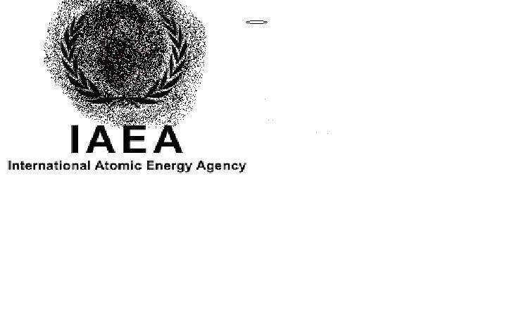 IAEA.jpg