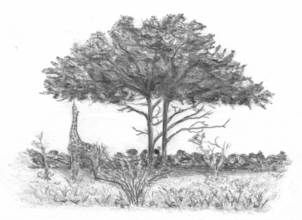 IC10_giraffe_1.gif
