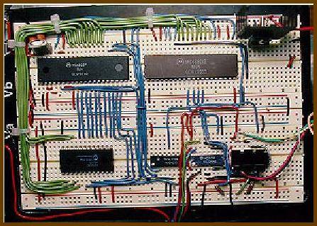 iguana-breadboard.jpg