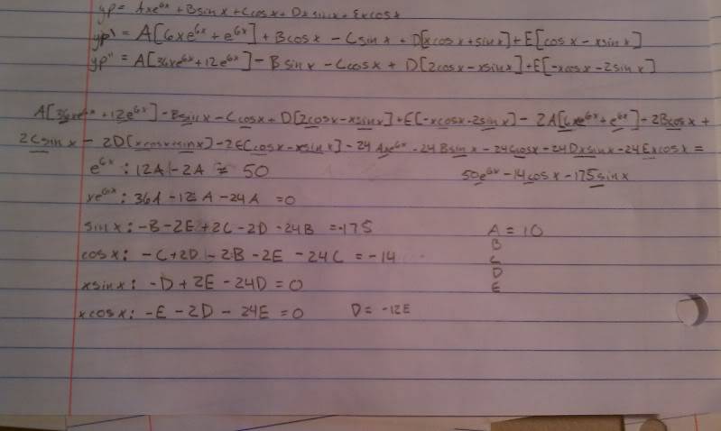 IMAG0211.jpg