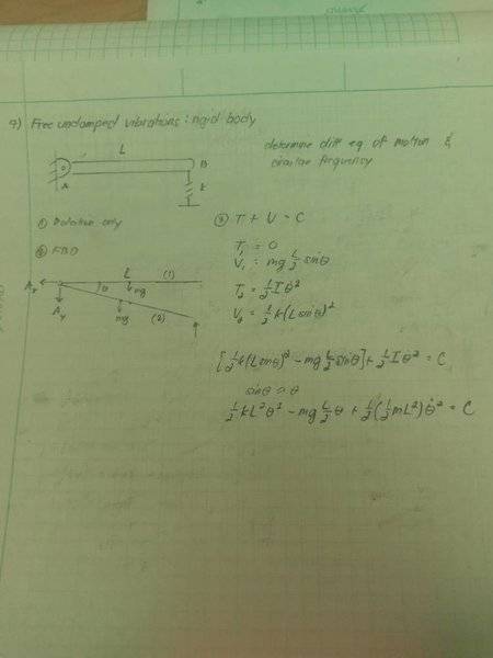 IMAG0368.jpg