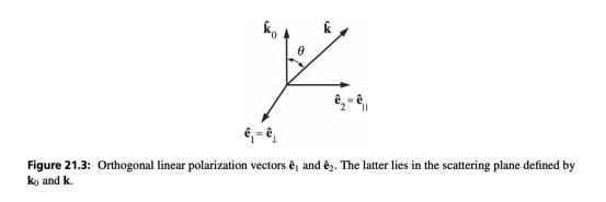 Image 5-27-20 at 7.58 AM.jpg