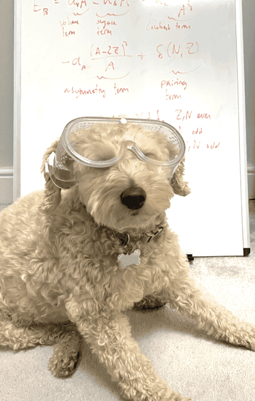 image001.png