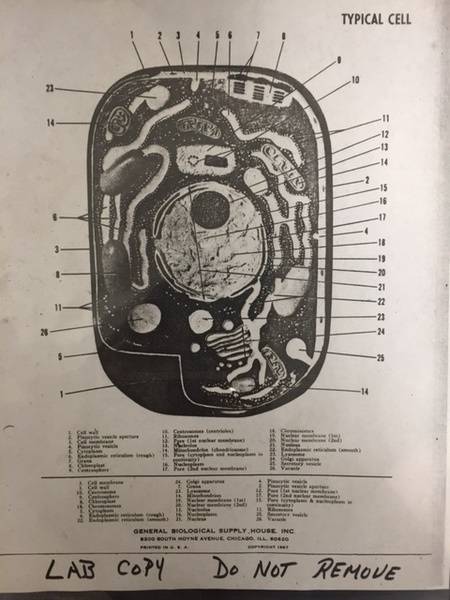 image2.JPG