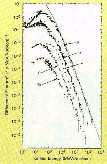 image6.png