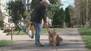 images(2).jpeg