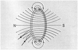 ImageUploadedByPhysics Forums1388697938.694041.jpg