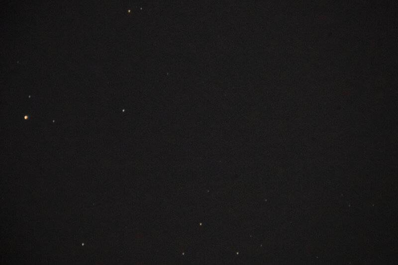 IMG-7301.jpg