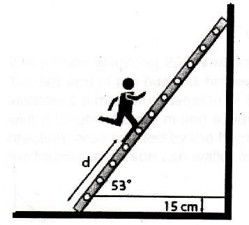 IMG.jpg