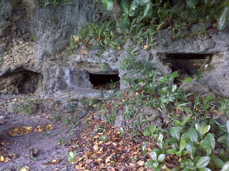 IMG00361.jpg