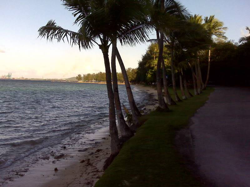 IMG00363.jpg