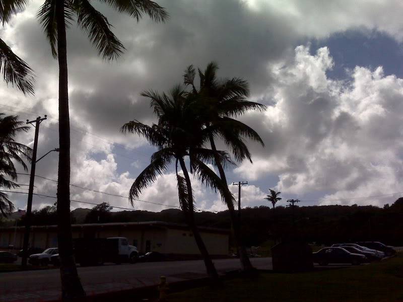 IMG00367.jpg