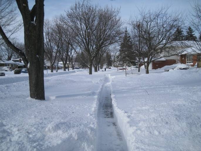 img0490y.jpg