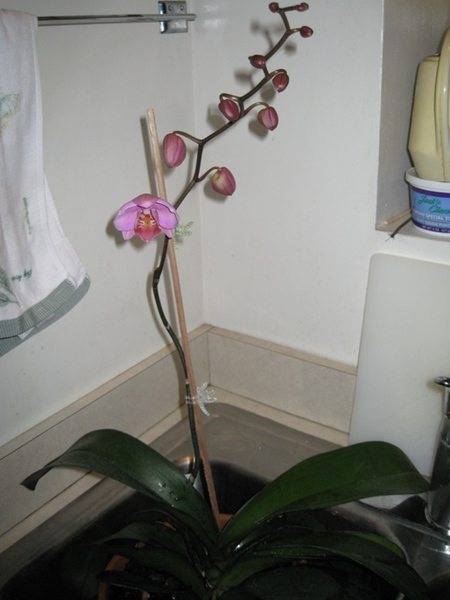 img0951so9.jpg