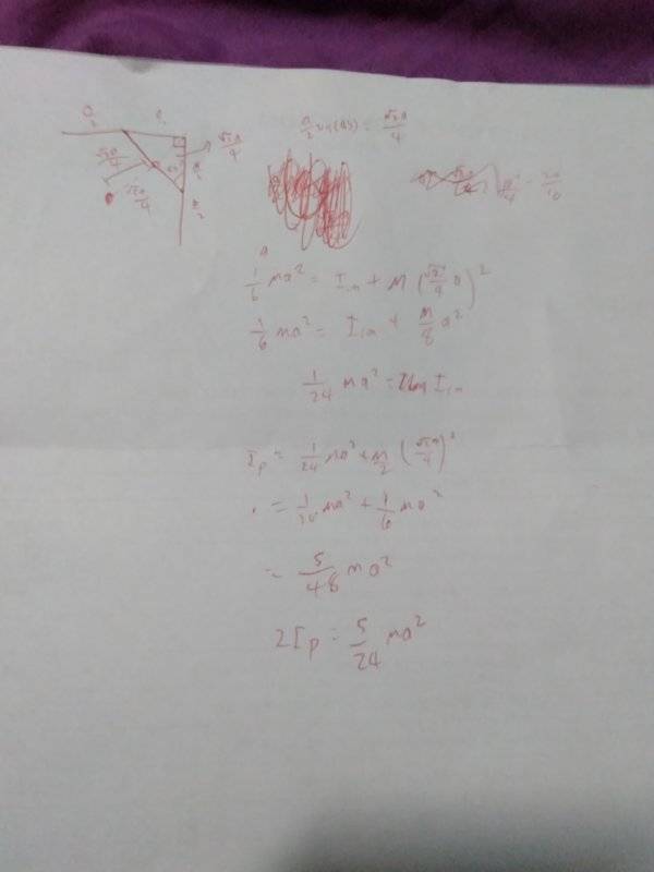 IMG20200305204921.jpg