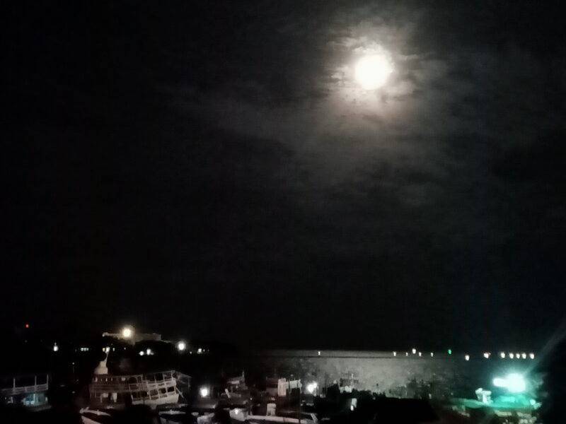 IMG20211219045016.jpg