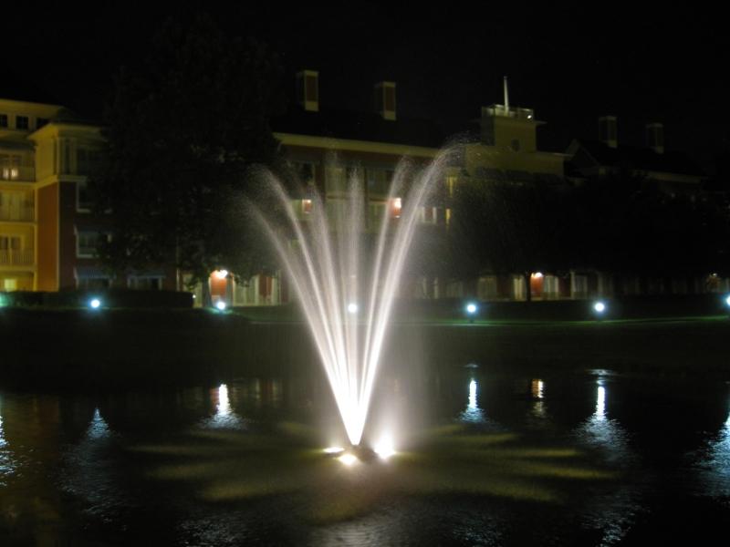 img2279kl.jpg