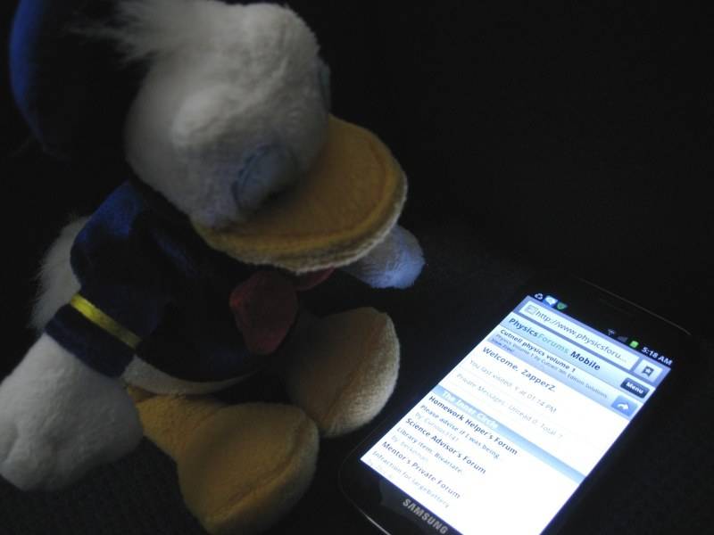 img4768xj.jpg