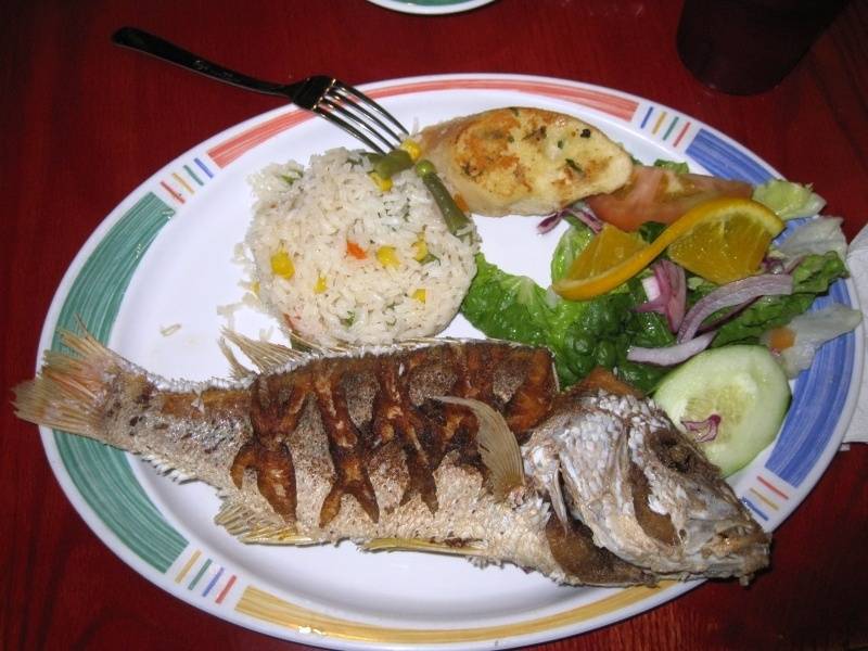 img5328bk.jpg