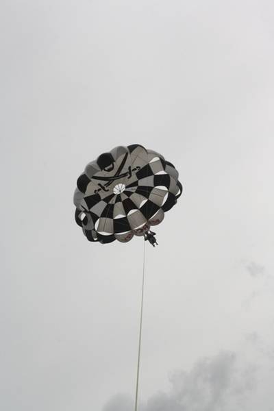 img9241t.jpg