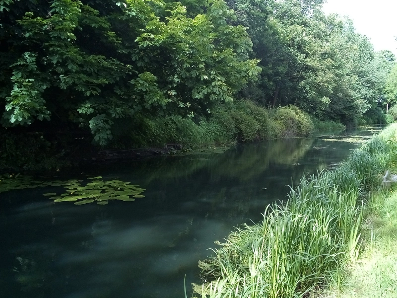 IMG_20250528_171600_145.webp